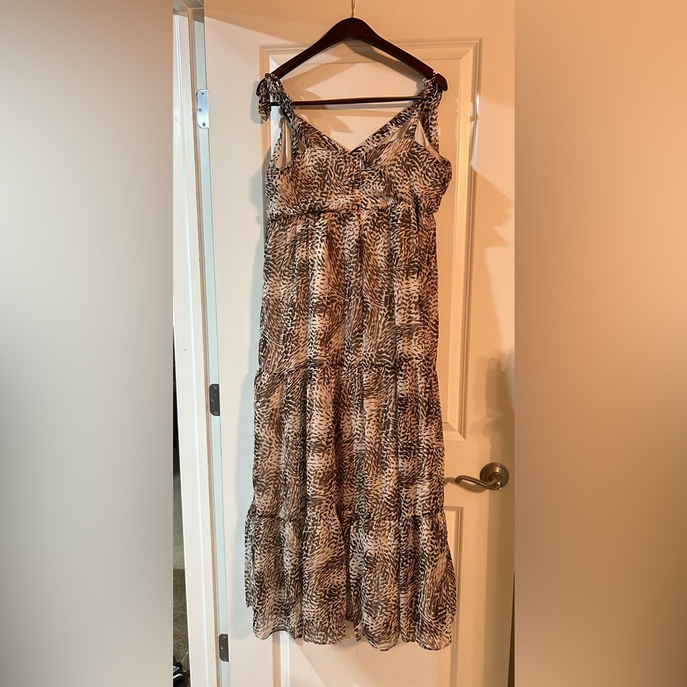 Express Dress - Picture 5 of 5